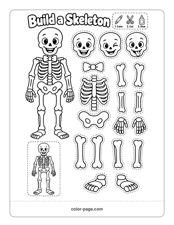 build a skeleton cut and paste activity with bones to put together