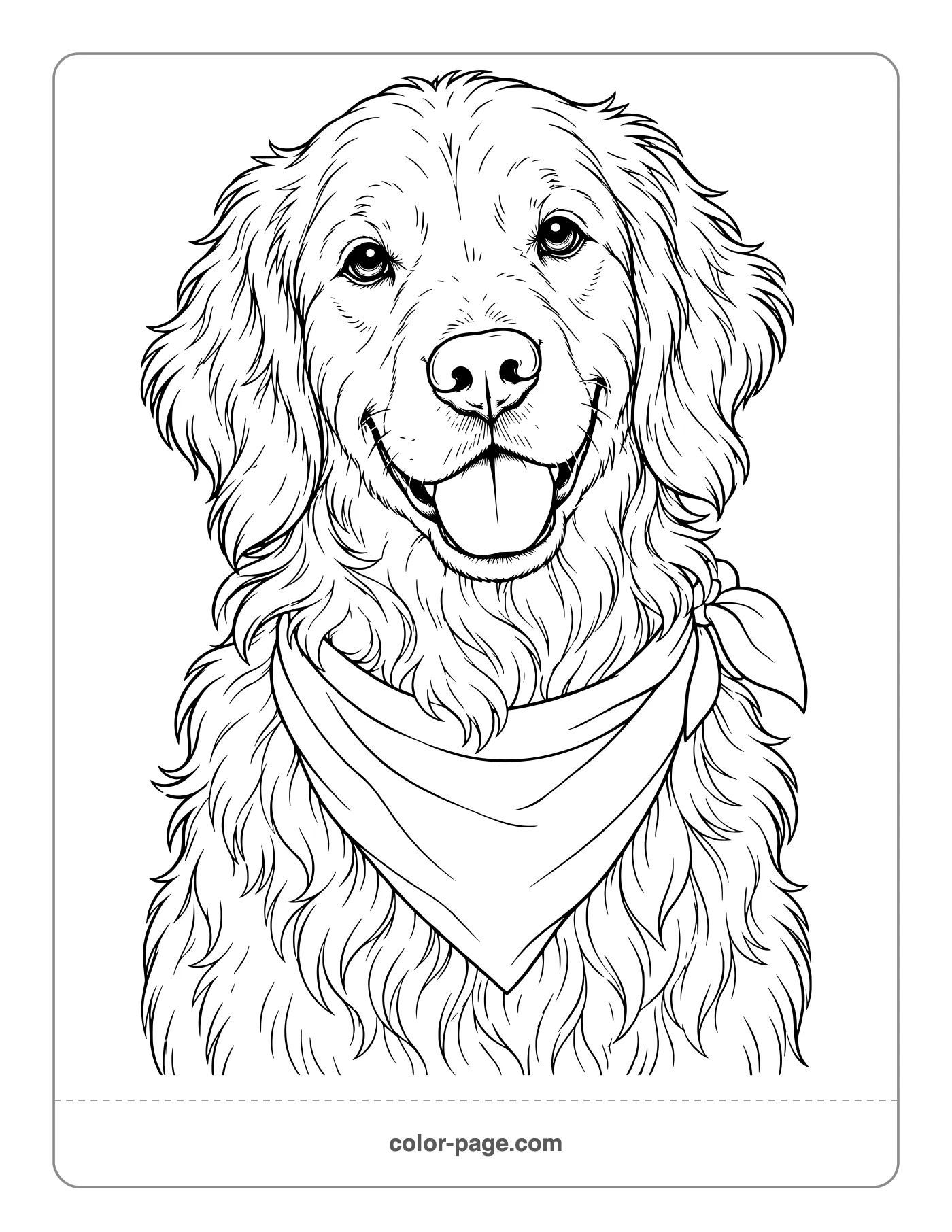 Detailed golden retriever portrait coloring page