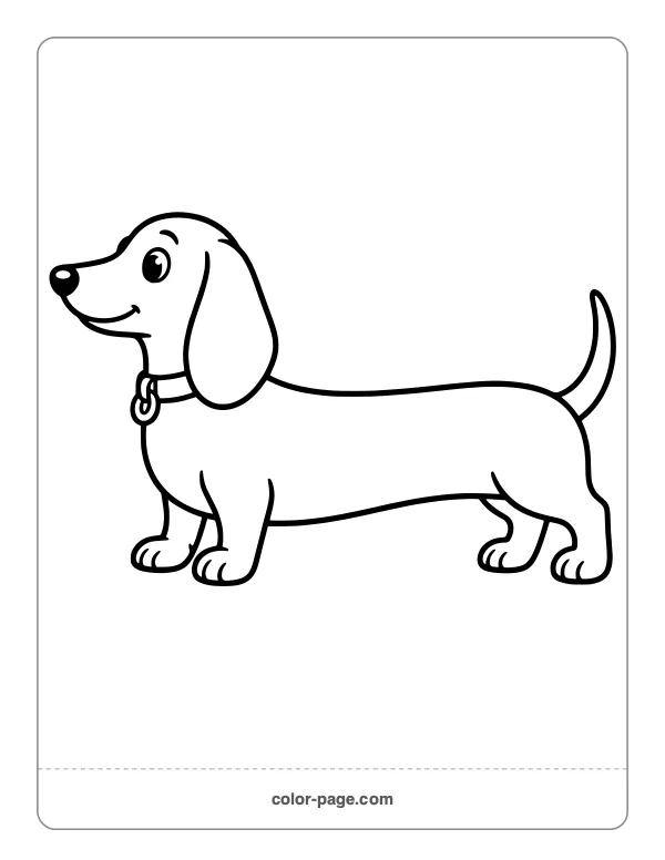 Simple dachshund wiener dog coloring page