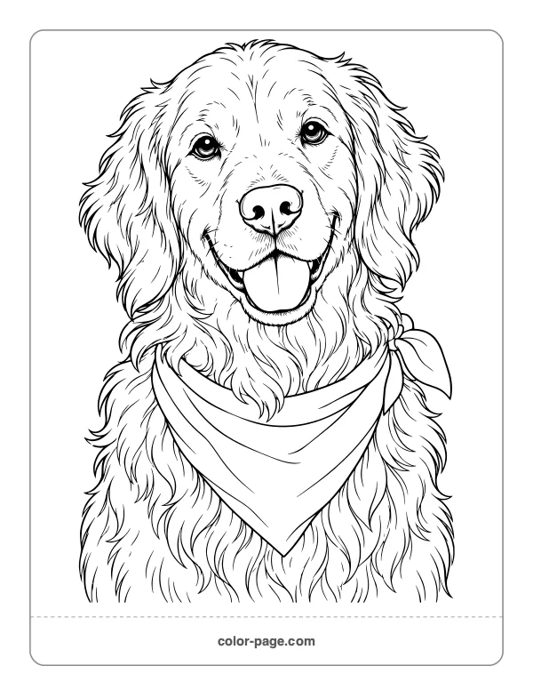 Detailed golden retriever portrait coloring page