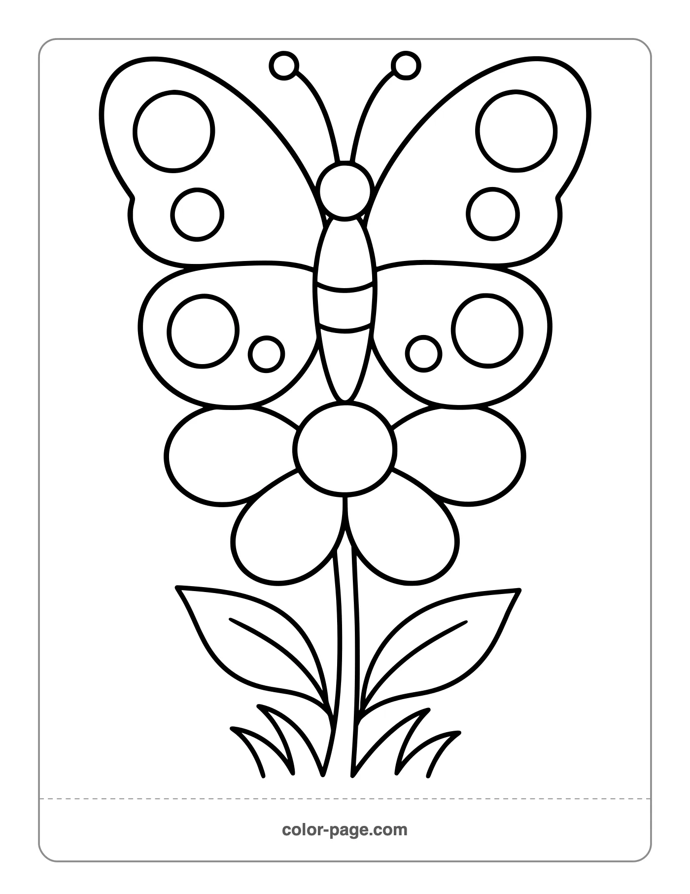 Butterfly resting on a simple flower coloring page