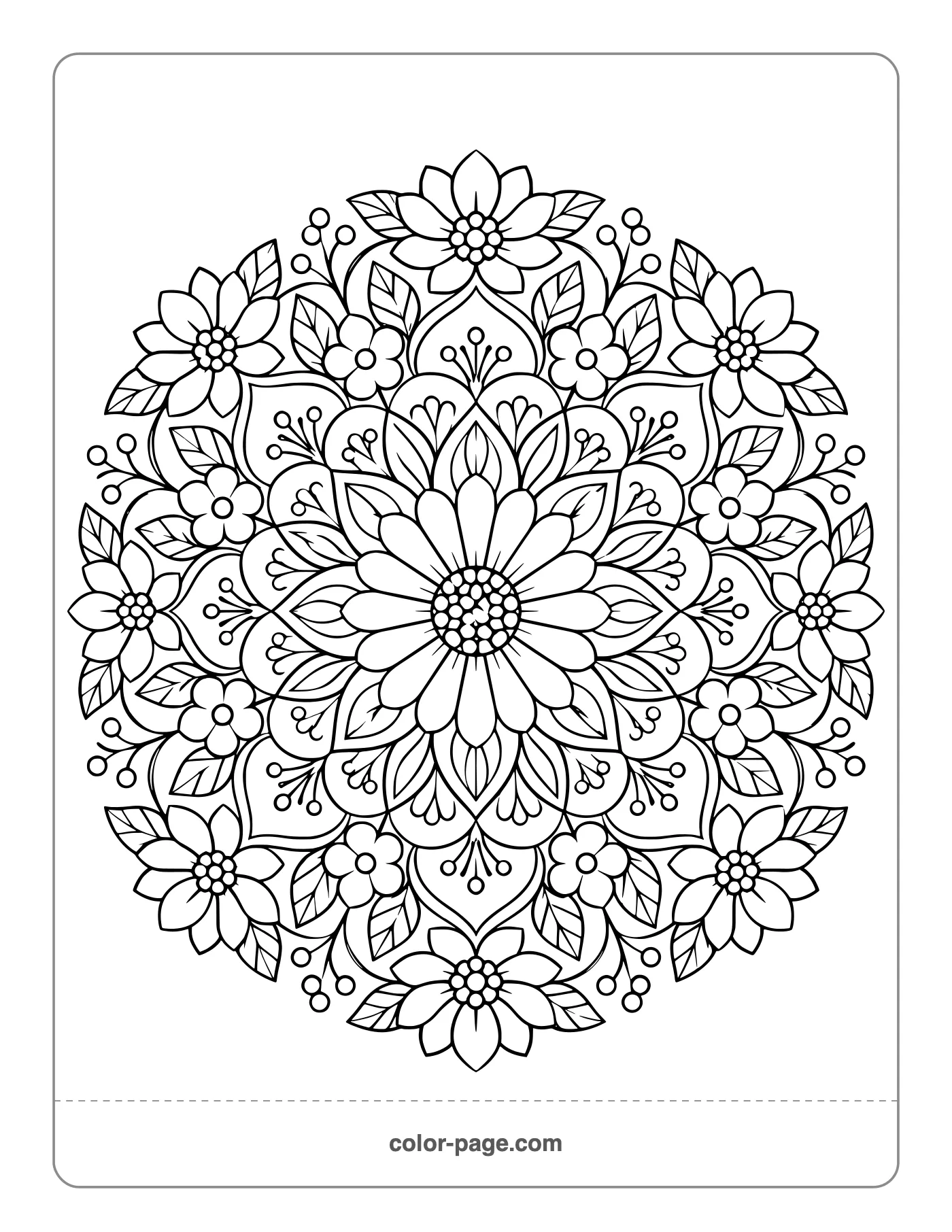 Detailed flower mandala with rings of petals coloring page
