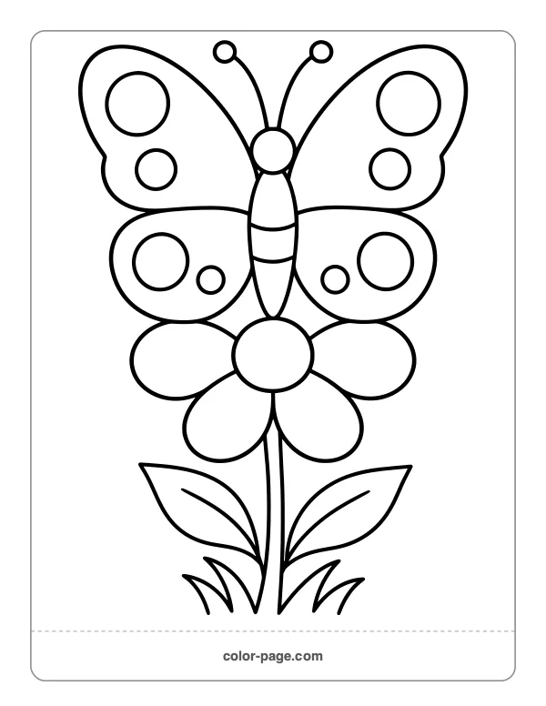 Butterfly resting on a simple flower coloring page