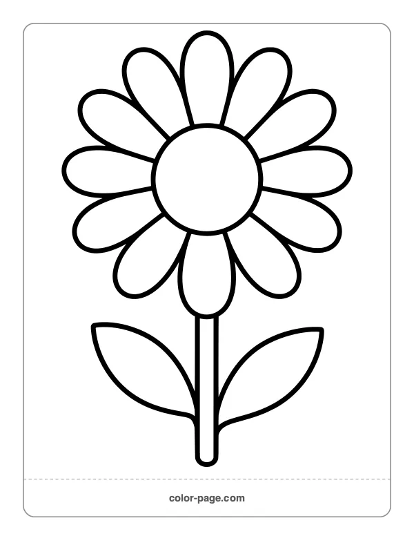 Simple daisy with big petals coloring page for toddlers