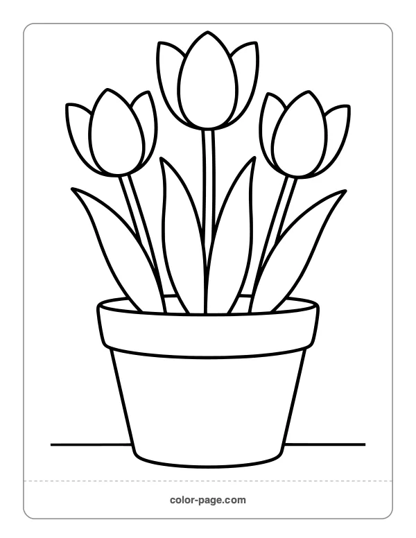 Three tulips in a clay flower pot coloring page
