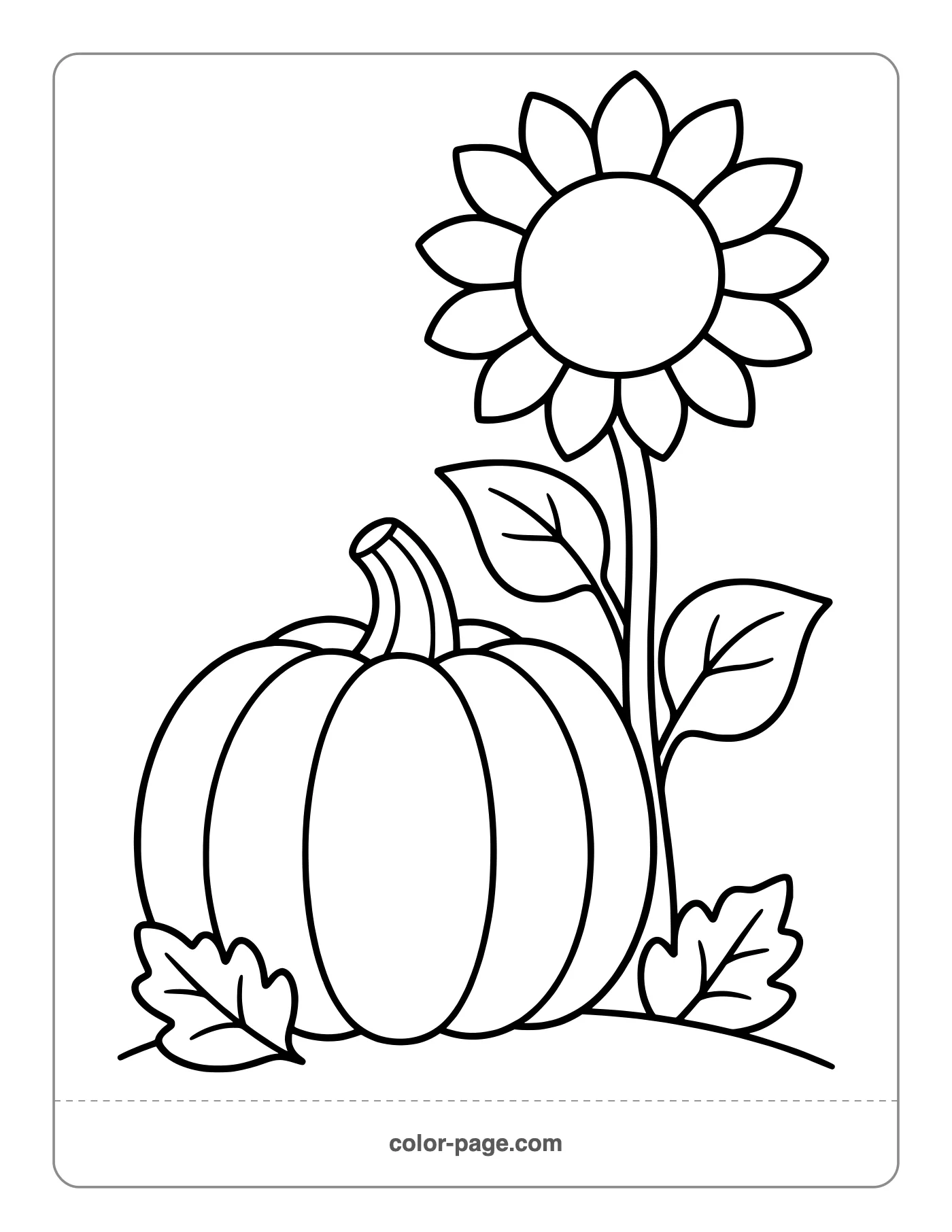 pumpkin beside a tall sunflower coloring page