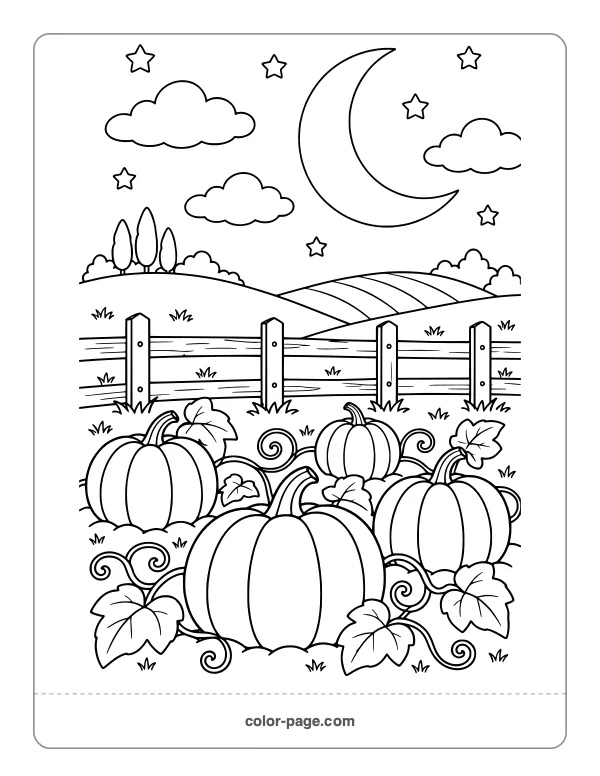 pumpkin field beneath a crescent moon coloring page