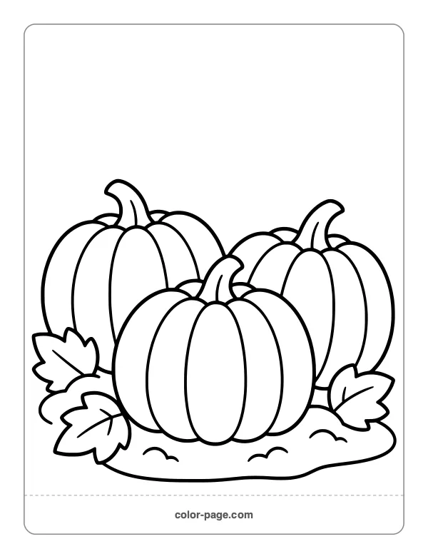 Three pumpkins in a pumpkin patch coloring page