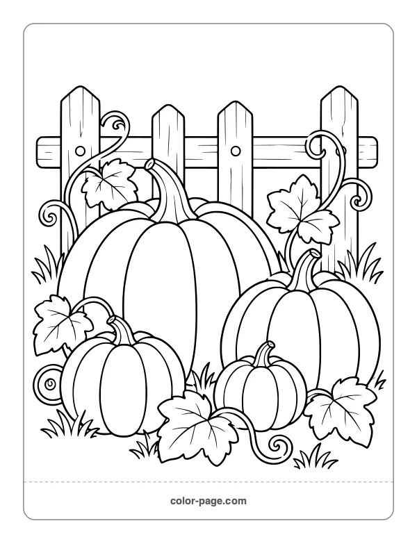 pumpkins of different sizes beside a fence coloring page