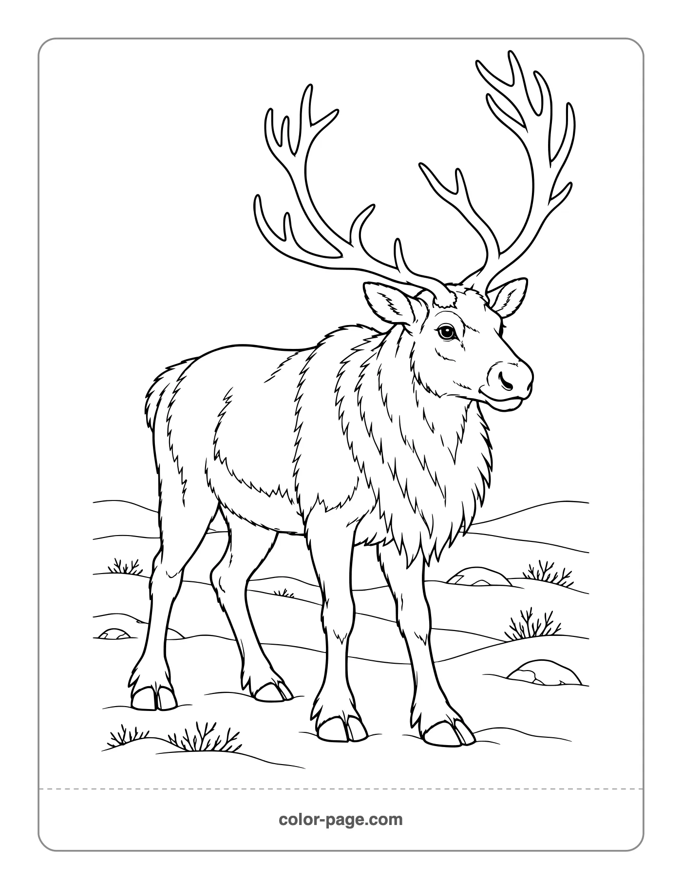 Realistic reindeer with large antlers on snowy tundra coloring page